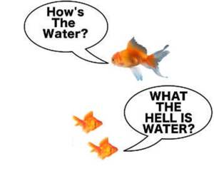 what-the-hell-is-water2.jpg?w=300